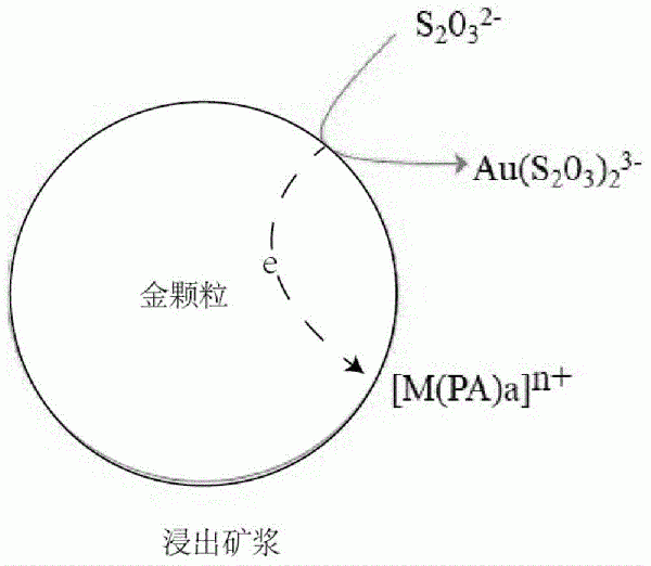 硫代硫酸鹽浸金方法及應用與流程