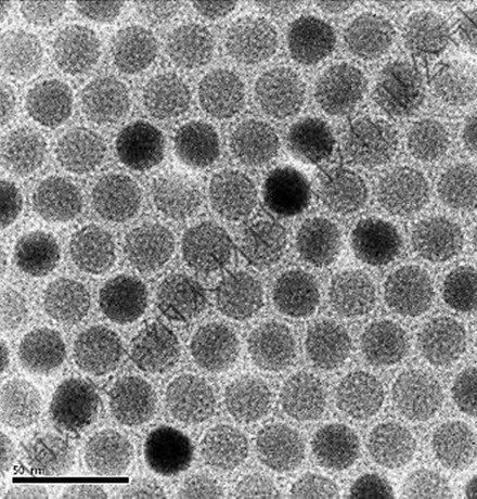 無(wú)表面基團(tuán)上轉(zhuǎn)換納米顆粒