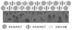 基于有機(jī)-無(wú)機(jī)納米粒子的荷電復(fù)合納濾膜及其制備方法