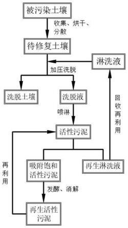 利用活性污泥修復多環(huán)芳烴污染土壤的方法