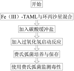 高效降解環(huán)丙沙星的催化氧化方法及其產(chǎn)物毒性評估方法