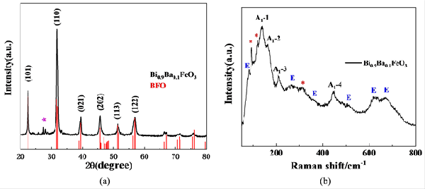 鋇摻雜的BiFeO3磁性的電場調(diào)制研究