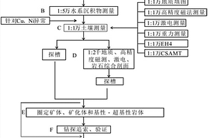 巖漿型銅鎳礦的勘探方法