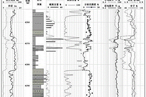 含碳屑碎屑巖儲(chǔ)層地球物理測(cè)井計(jì)算孔隙度的方法