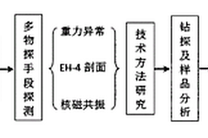 鹽湖鹵水探測方法