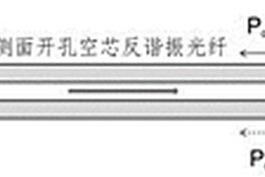 新型的準分布式光纖氣體探測方法