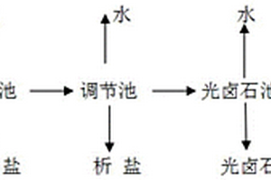 從鹽湖礦區(qū)提取的營養(yǎng)型綠色食用鹽及其提取方法