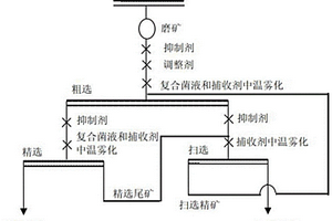 低品位磷礦的浮選方法