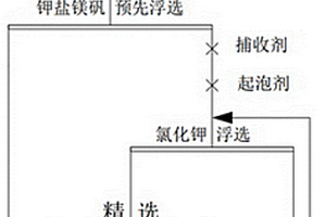 硫酸鎂亞型鹽湖氯化鉀的浮選工藝