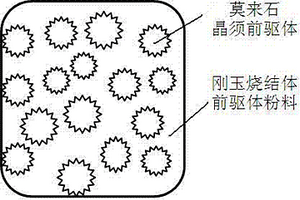 煤礦水分檢測裝置