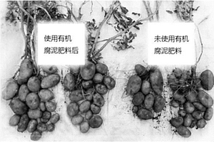 培養(yǎng)基及其制備方法、微生物材料及其用途和制備方法