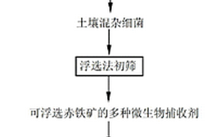 降低磷礦雜質(zhì)元素的脫泥雙反浮選方法