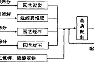 沸石水處理濾料