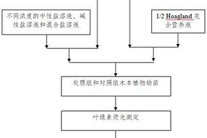 富硒營(yíng)養(yǎng)活力素及其制備方法、應(yīng)用