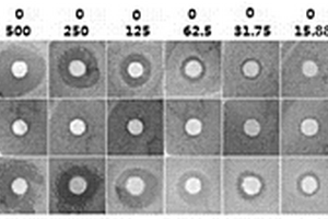 生物質(zhì)燃料及提高云煙87評吸質(zhì)量的烘烤方法