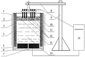 鐵碳熔體脫碳反應(yīng)控制裝置