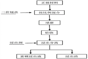 從退役電池中選擇性提鋰的方法及其應(yīng)用