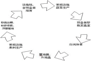 溫室高效、可持續(xù)生產(chǎn)方法及果樹盆栽基質(zhì)