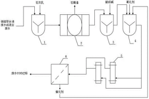 銅、鉬萃余液混合廢水去除COD的處理系統(tǒng)