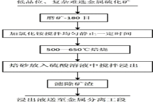低品位、復(fù)雜難選金屬硫化礦提取工藝