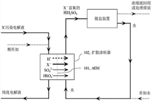 從硫酸體系電解液中選擇性去除一價(jià)陰離子雜質(zhì)的方法