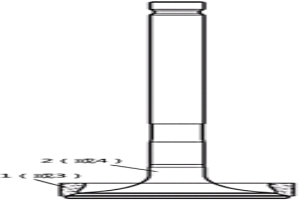 發(fā)動(dòng)機(jī)的進(jìn)排氣門座圈和進(jìn)排氣門組合