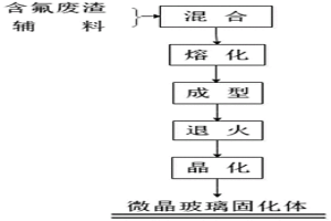 多源含氟廢渣微晶玻璃固化體及其制備方法和用途