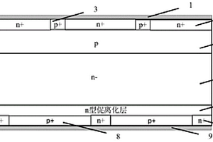 快速離化器件及其制備方法