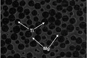 雙連通網(wǎng)狀結構鈦-鎂雙金屬復合材料的制備方法