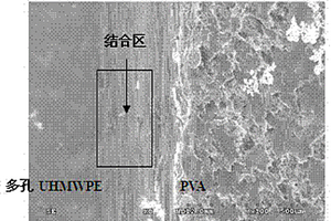 多孔超高分子量聚乙烯與仿生軟骨結(jié)合的材料及制備工藝