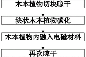 木本植物基復(fù)合型電磁功能材料及其制備方法