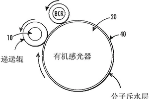 穩(wěn)定化聚合物來控制功能材料從遞送構(gòu)件中的被動滲出