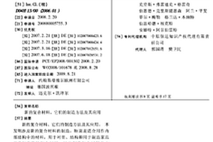 新的復(fù)合材料、它們的制造方法及其應(yīng)用