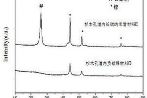 生物質(zhì)基大孔內(nèi)生長(zhǎng)碳納米管的功能材料的制備方法及其應(yīng)用