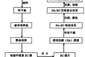 細(xì)菌纖維素/透明質(zhì)酸復(fù)合材料的制備方法