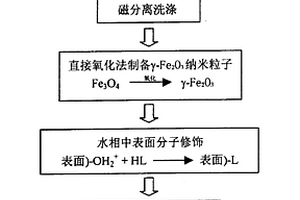 腫瘤磁致熱療用納米發(fā)熱劑的制備方法