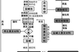 鹽堿土提取分離鹽堿和土壤改良的方法