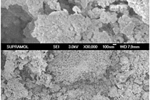 抗H<sub>2</sub>O、SO<sub>2</sub>和重金屬化毒害的煙氣脫硝催化劑及其制備方法