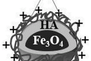 用于油水分離的Fe3O4/HA/CSMNPs及制備方法、應(yīng)用