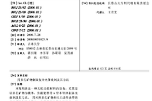 用多孔礦物制備復(fù)合光催化劑及其方法