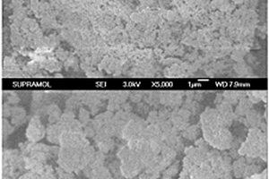 抗H<sub>2</sub>O、SO<sub>2</sub>、重金屬和粉塵毒化的煙氣脫硝多元催化劑