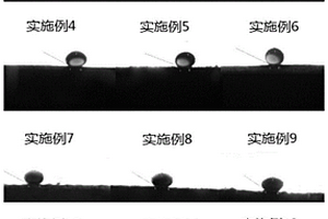 親水疏油海綿及其制備方法和應(yīng)用