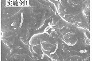 碳納米管-鋰鈦摻雜的氧化鎳復合物及其制備方法