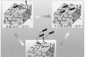 殺菌、低細(xì)菌粘附、細(xì)菌釋放的抗菌水凝膠及其制備方法和應(yīng)用