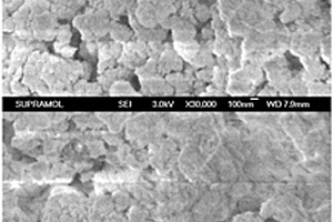 用于煙氣脫硝的抗H<sub>2</sub>O、SO<sub>2</sub>、重金屬和粉塵毒化多元催化劑