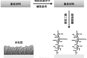 具有生物抗污功能的材料、其制備方法及應用