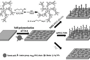 含TAA的殺菌、抗蛋白吸附以及特異性識別多功能材料的制備方法