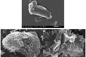 氮摻雜生物炭及其制備方法和應(yīng)用