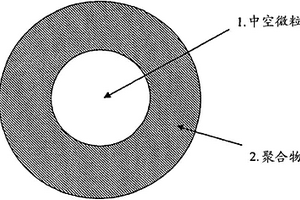 中空微粒主體