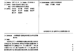 聚酰胺/硅酸鹽納米復(fù)合材料及其制造方法